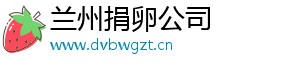 兰州捐卵公司	
